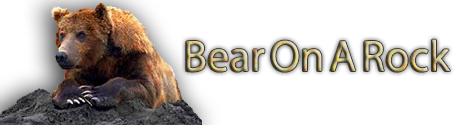 Bear on a Rock